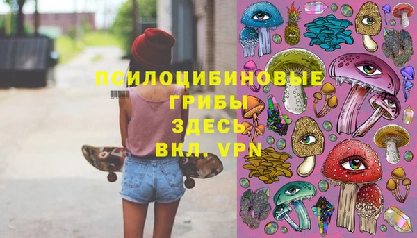 индика Алагир