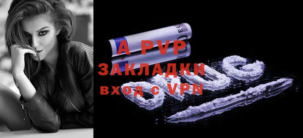 ГАЛЛЮЦИНОГЕННЫЕ ГРИБЫ Корсаков