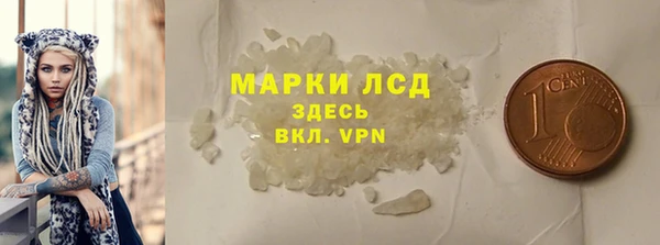 ГАЛЛЮЦИНОГЕННЫЕ ГРИБЫ Корсаков