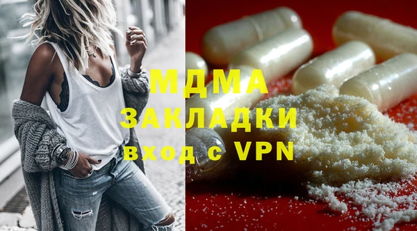 ГАЛЛЮЦИНОГЕННЫЕ ГРИБЫ Корсаков