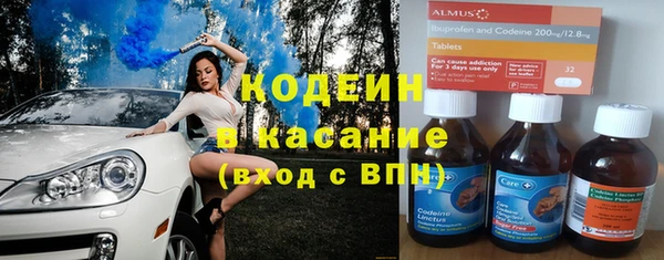 ГАЛЛЮЦИНОГЕННЫЕ ГРИБЫ Корсаков