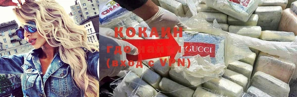 ГАЛЛЮЦИНОГЕННЫЕ ГРИБЫ Корсаков