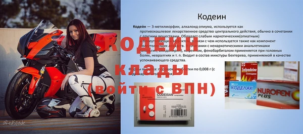 индика Козельск