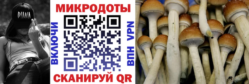 хочу наркоту  МЕГА сайт  Галлюциногенные грибы Psilocybe  Муравленко 