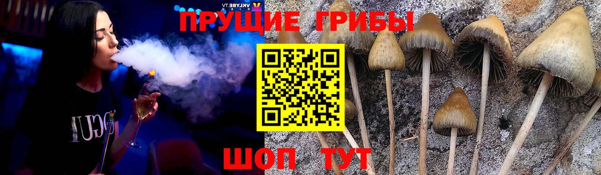 Псилоцибиновые грибы мицелий  Вход с VPN  Галлюциногенные грибы Magic Shrooms  закладки  Муравленко 